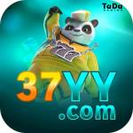 37yy 37yy