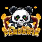 pandawin pandawin Profile Picture