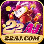 22aj 22aj