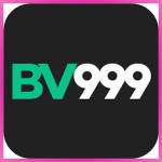 bv999 bv999