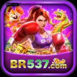 br537 br537