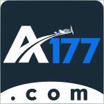 a177 a177 Profile Picture