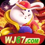 wj67 wj67
