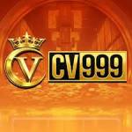 cv9997