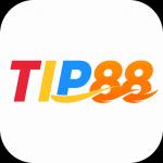 tip88 tip88 Profile Picture