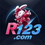 r123 r123 Profile Picture