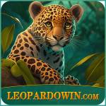 leopardowin leopardowin