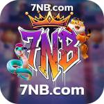 7nb 7nb