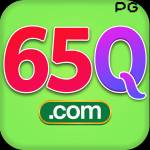 65q 65q