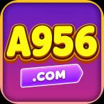 a95635