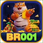 br001 br001