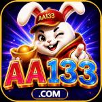 aa133 aa133