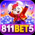 pe811bet5