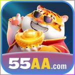 55aa 55aa
