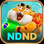 ndnd ndnd