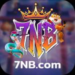 7nb 7nb