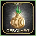 cebolapg cebolapg Profile Picture