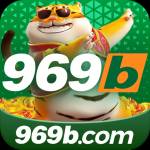 py969b