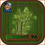 bamboospg bamboospg Profile Picture