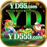 yd555 yd555