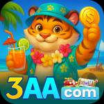 3aa 3aa