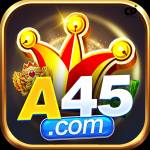 a45 a45