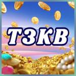 t3kb t3kb