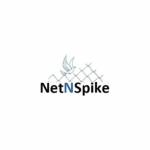 Net n Spike