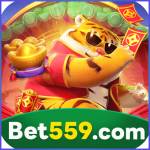bet559