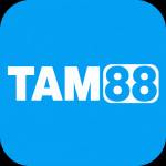 tam88 tam88
