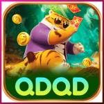 qdqd qdqd