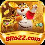 br622 br622