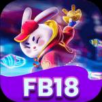 fb18 fb18