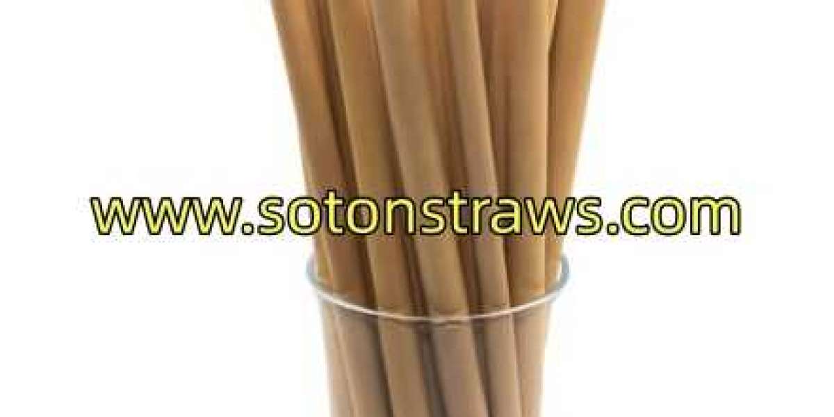 Why Choose SotonStraws as Your Straws Factory Partner?