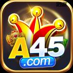 a45 a45