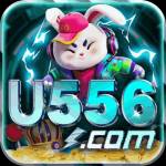 u556 u556