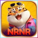 nrnr nrnr