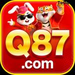 q87 q87