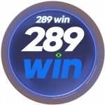 289win 289win