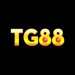 tg88br