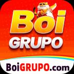 boigrupo