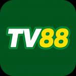 tv88 tv88