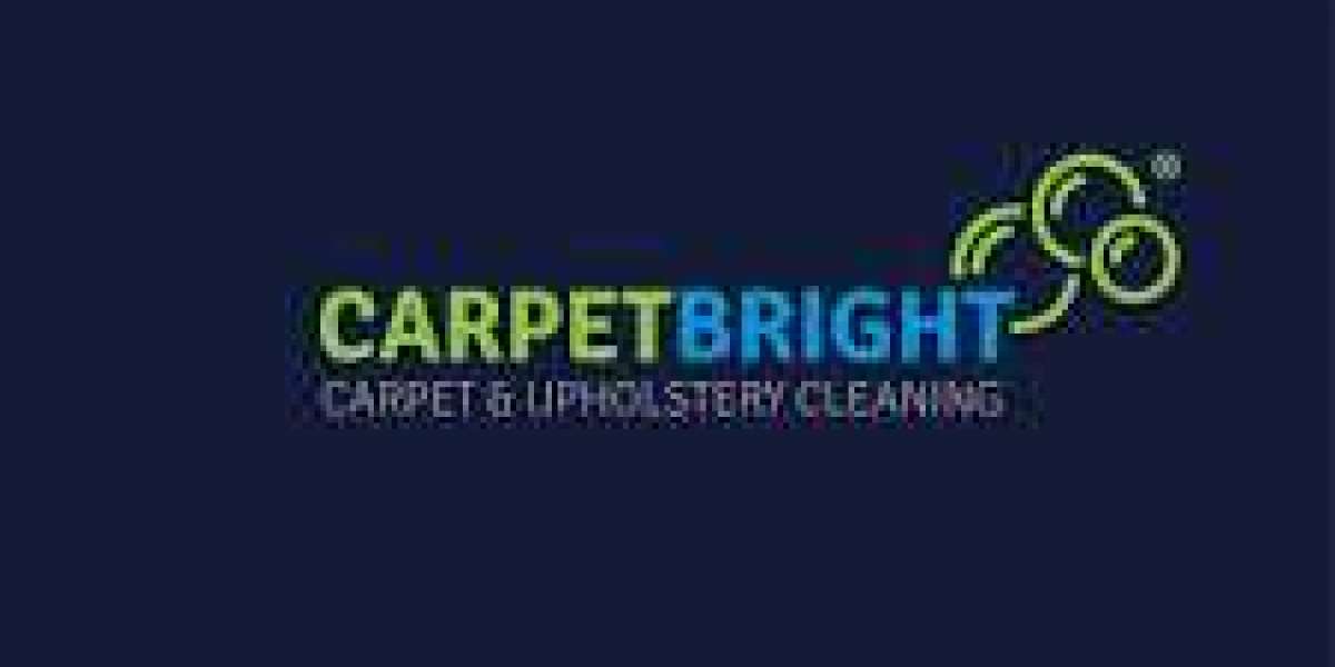 Carpet Cleaning Services Supporting Better Living From the Ground Up