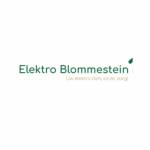 elektroblommestein