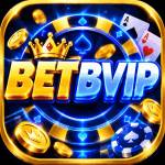 betbvip