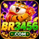 br3456 br3456