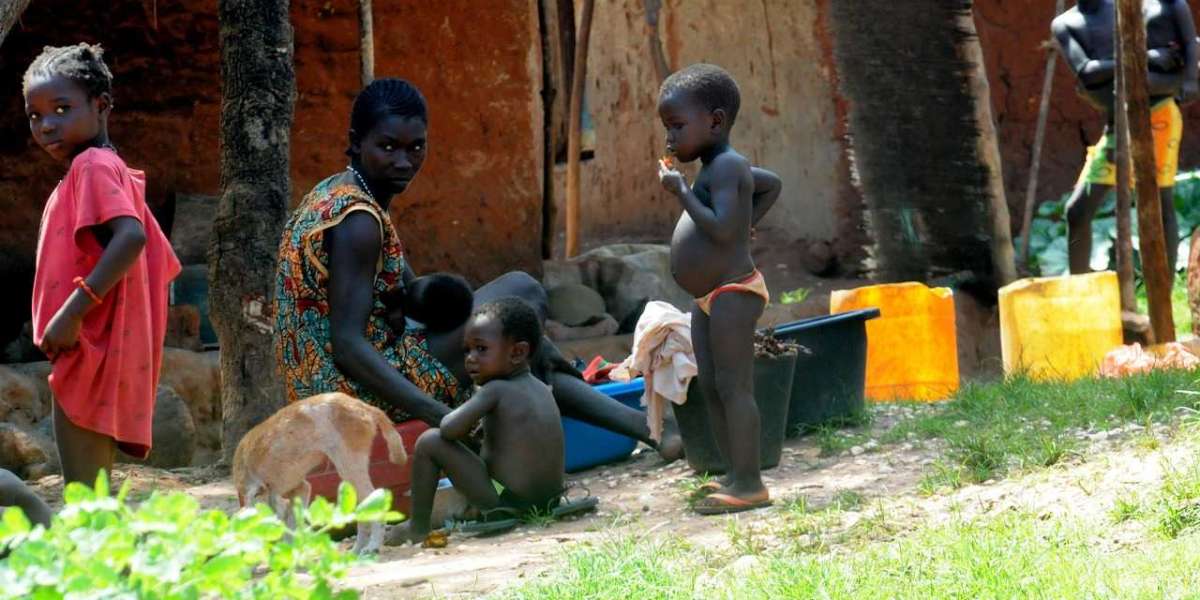 Dynamiser les affaires en Guinée : l'impact des réseaux professionnels en ligne