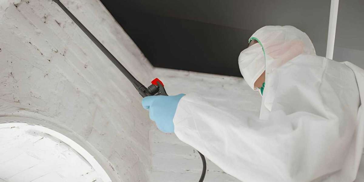 Why Professional Mold Remediation NJ Services Are Essential for Healthy Homes