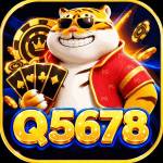 q5678 q5678