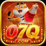 07q 07q